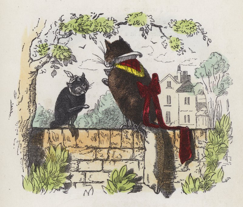 Due gatti su un muro del giardino (incisione colorata) da Charles Henry (after) Bennett