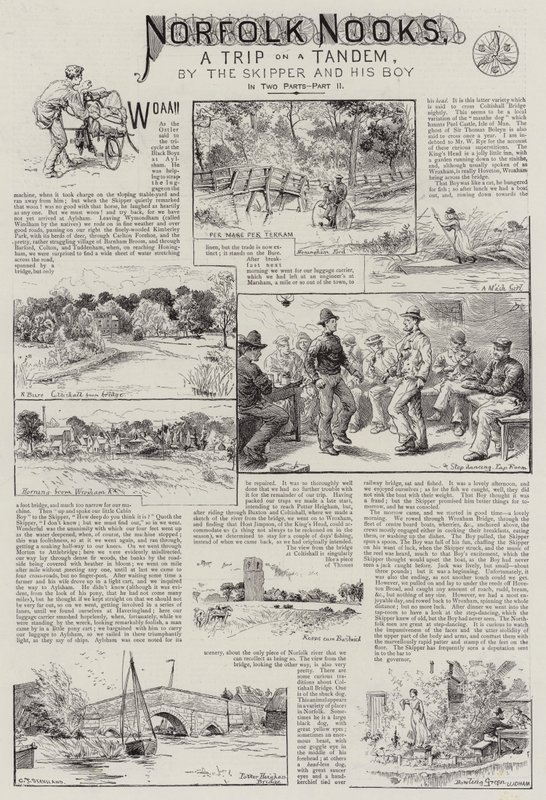 Angoli di Norfolk da Charles J. (after) Staniland