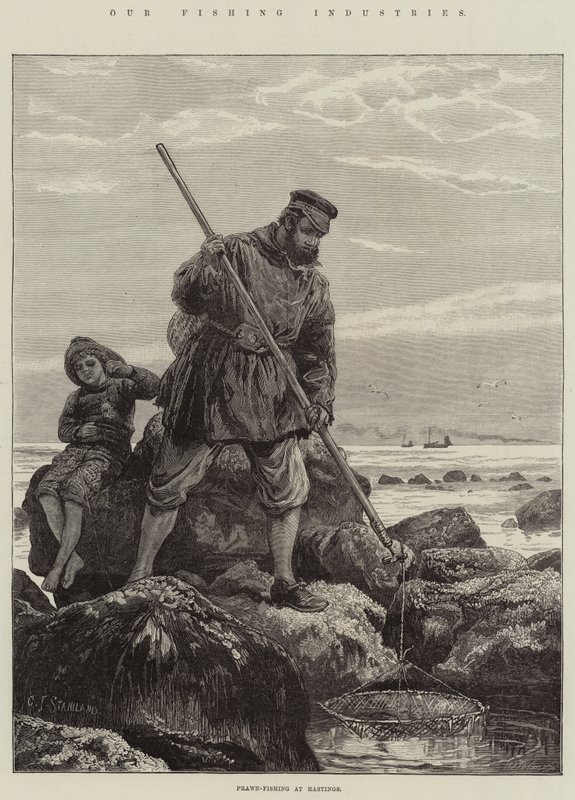 Le nostre industrie di pesca, pesca dei gamberi a Hastings da Charles J. Staniland