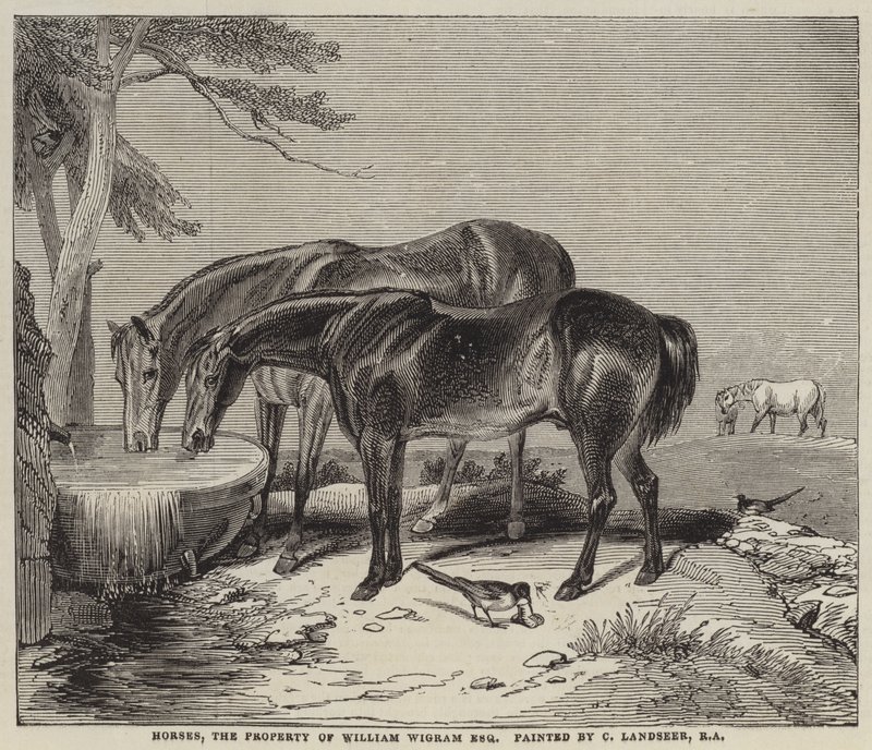 Cavalli, proprietà di William Wigram, Esquire da Charles Landseer