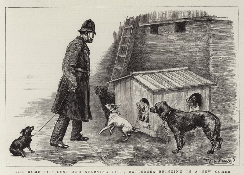 La casa per cani persi e affamati, Battersea, accogliendo un nuovo arrivato da Charles Paul Renouard