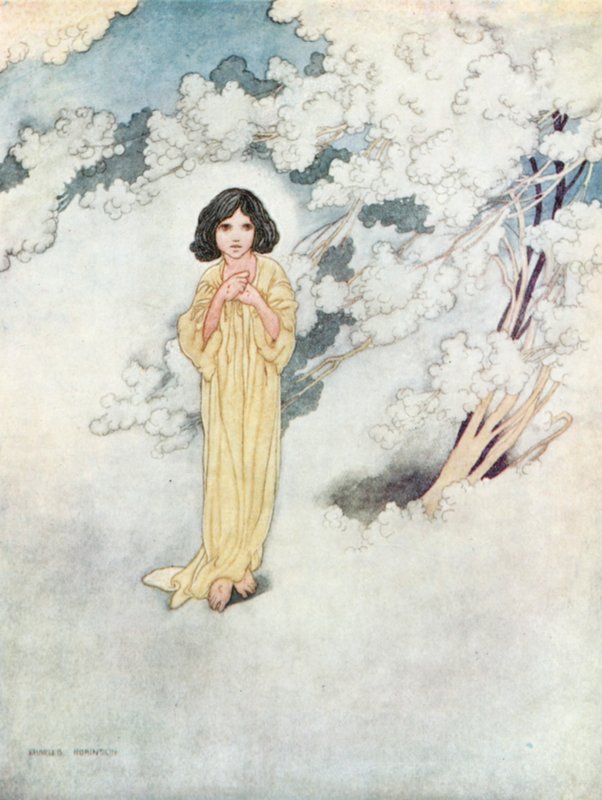 Il bambino che aveva amato da Charles Robinson