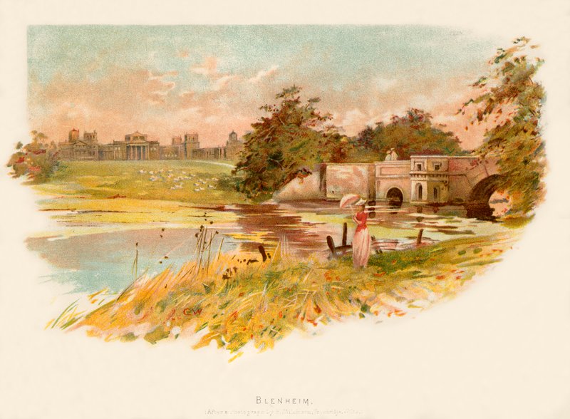 Blenheim da Charles Wilkinson