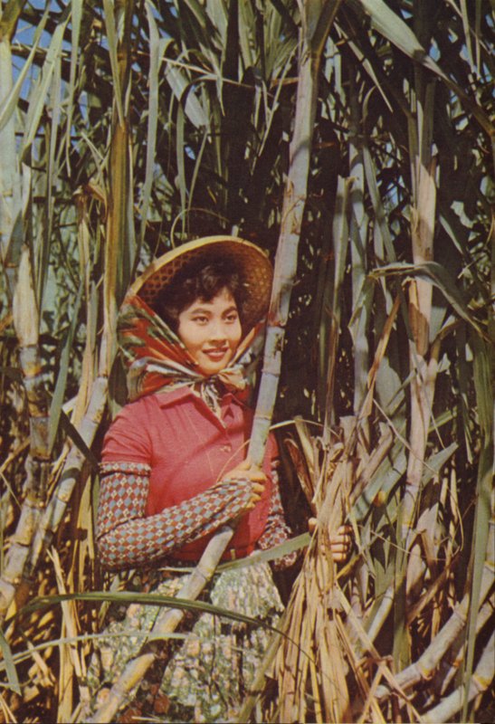 Taiwan: Zucchero di Canna da Chinese Photographer