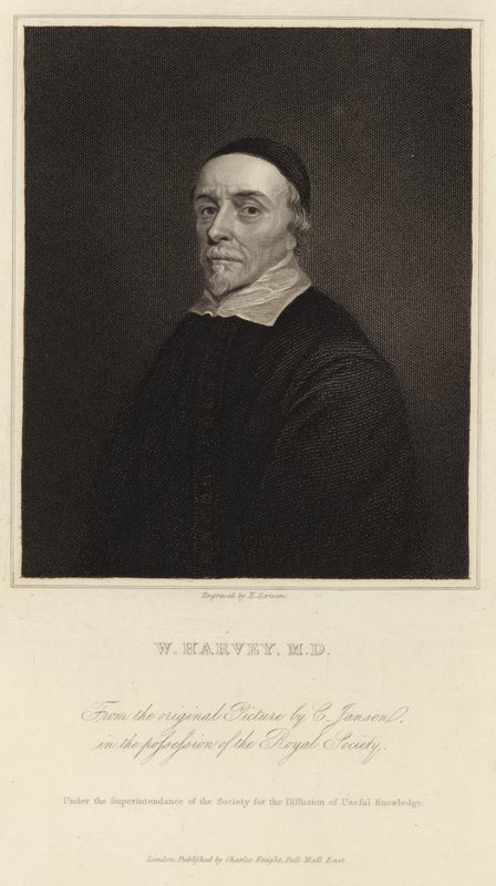 William Harvey da Cornelius Janssen van Ceulen