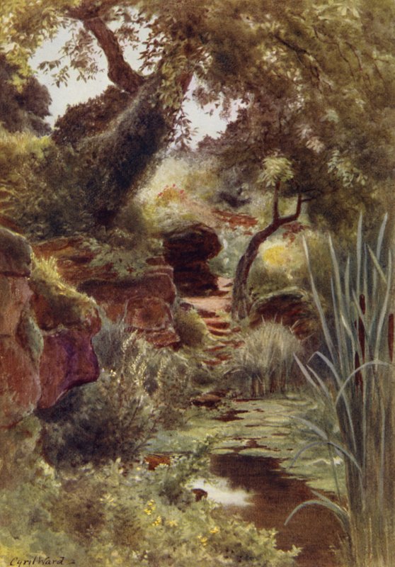 Parte del Giardino Roccioso vicino al Lago Superiore, Sandringham da Cyril Ward
