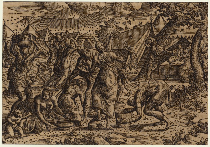 La piaga delle locuste da Czech School