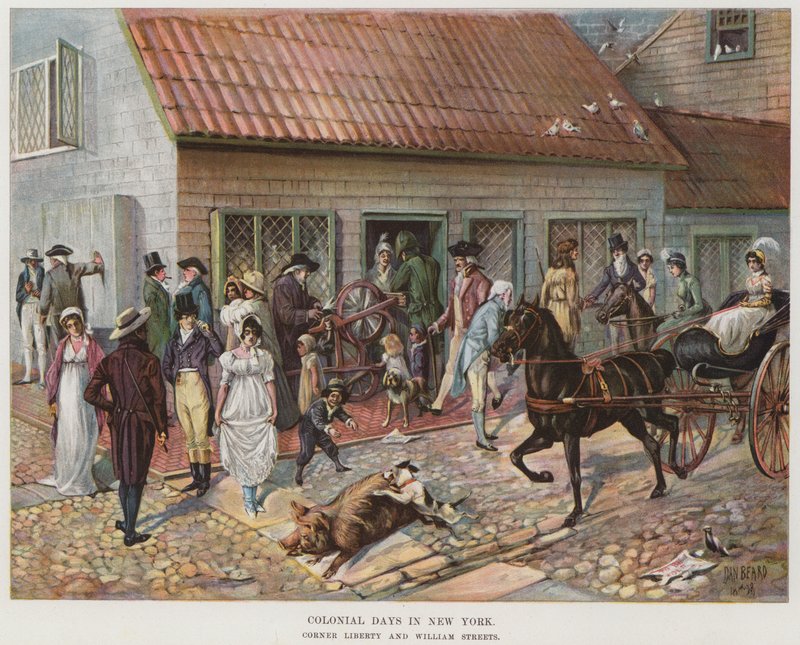 Giorni coloniali a New York da Daniel Carter  Beard