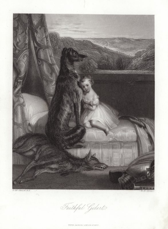 Fedele Gelert da Daniel Maclise