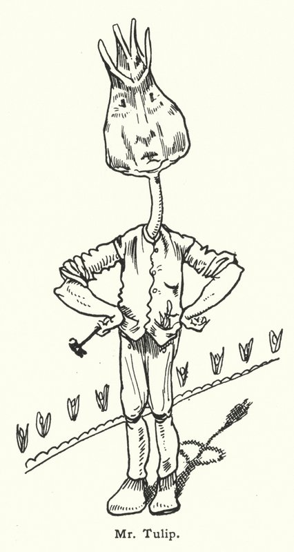 Signor Tulip da Dion Clayton Calthrop