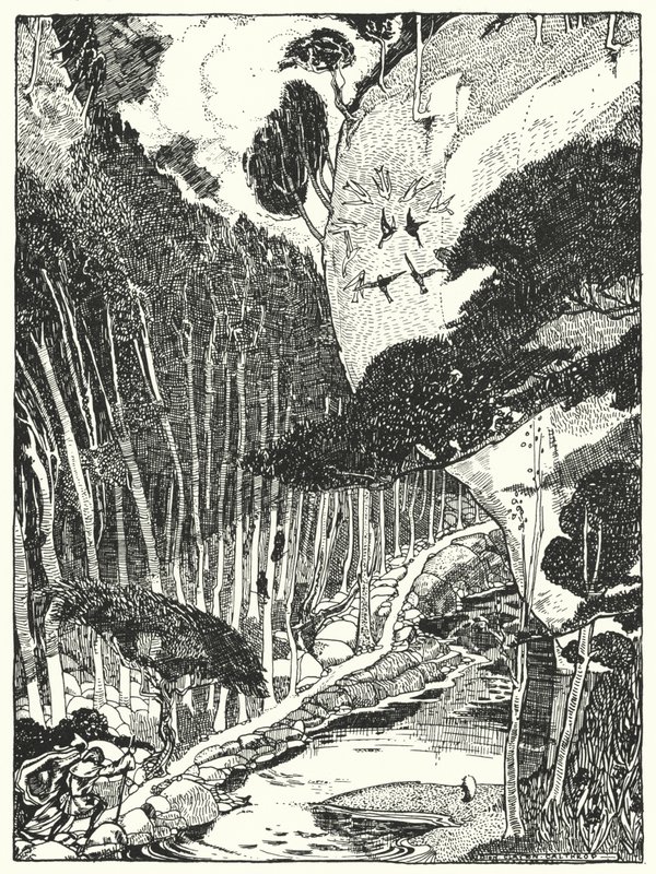 La foresta oscura da Dion Clayton Calthrop