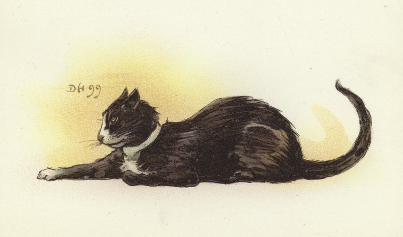 Gatto di Savoia da Dudley Hardy