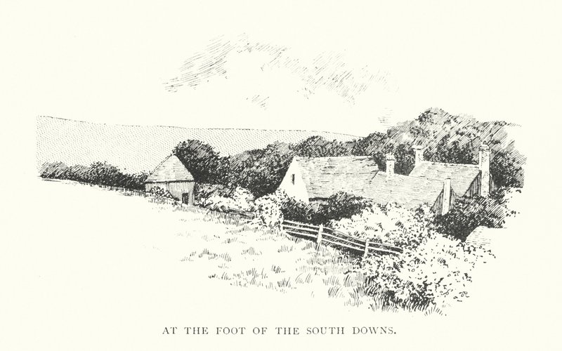 Ai piedi delle South Downs da Duncan Moul