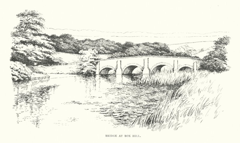 Ponte a Box Hill da Duncan Moul