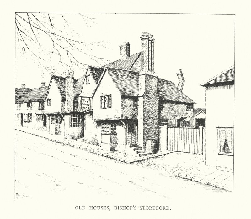 Vecchie case, Bishop