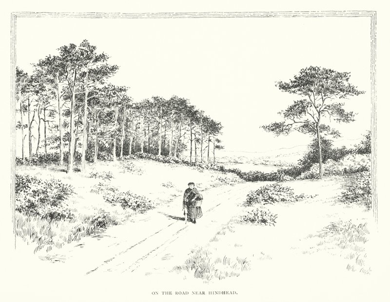 Sulla strada vicino a Hindhead da Duncan Moul
