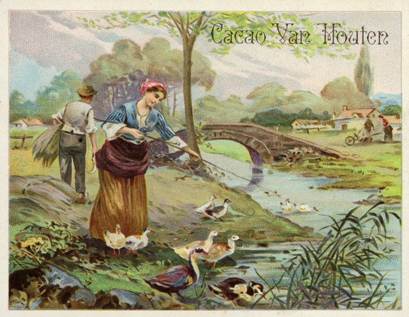 Allevamento di anatre da Dutch School