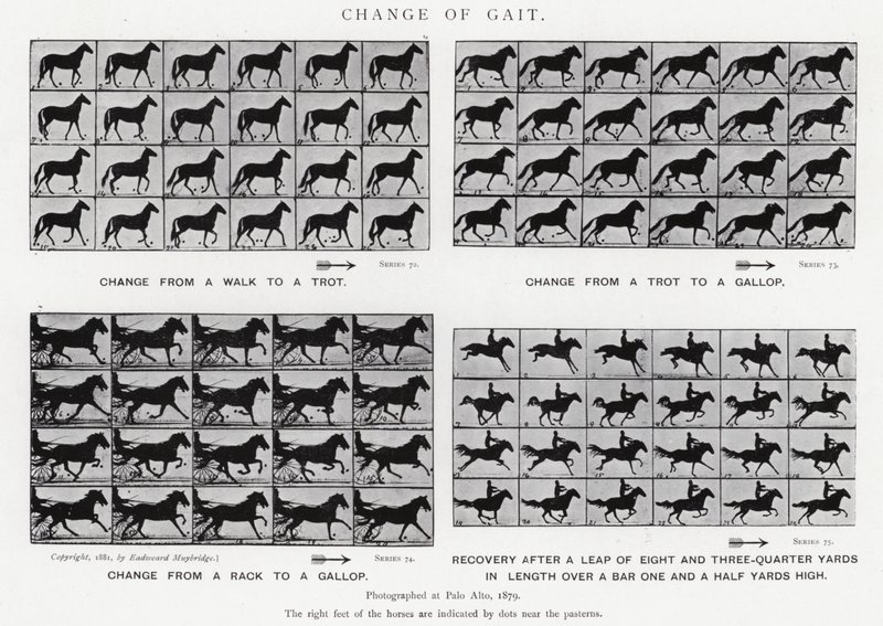 Cambio di andatura da Eadweard Muybridge