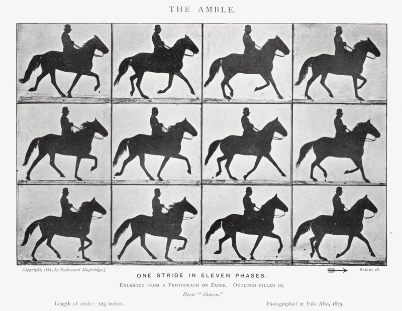 Eadweard Muybridge: L