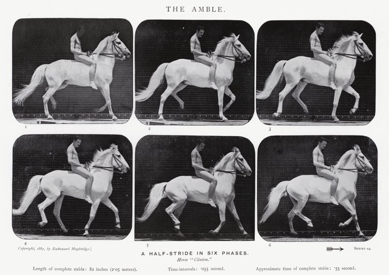 Eadweard Muybridge: L
