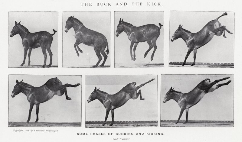 Eadweard Muybridge: Il calcio e il calcio all