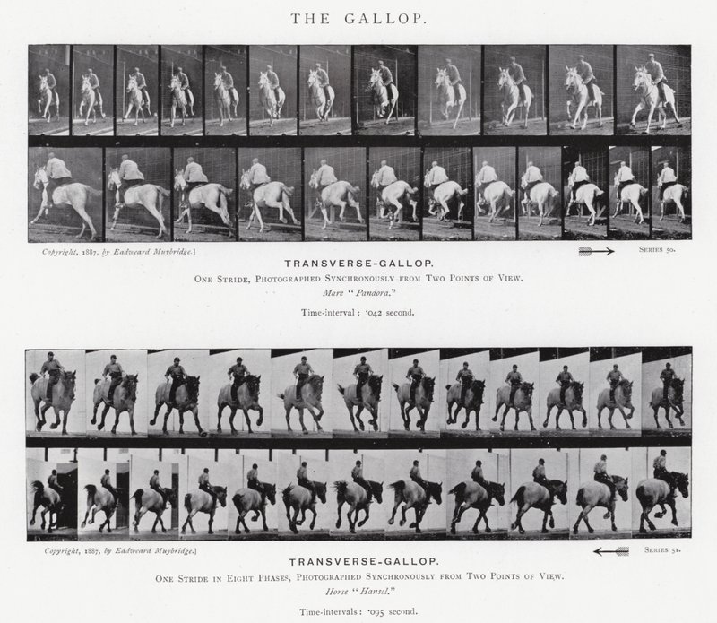 Il galoppo da Eadweard Muybridge
