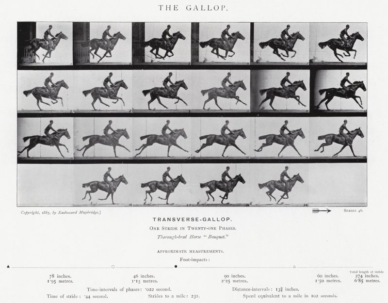 Eadweard Muybridge: Il galoppo (foto in bianco e nero) da Eadweard Muybridge