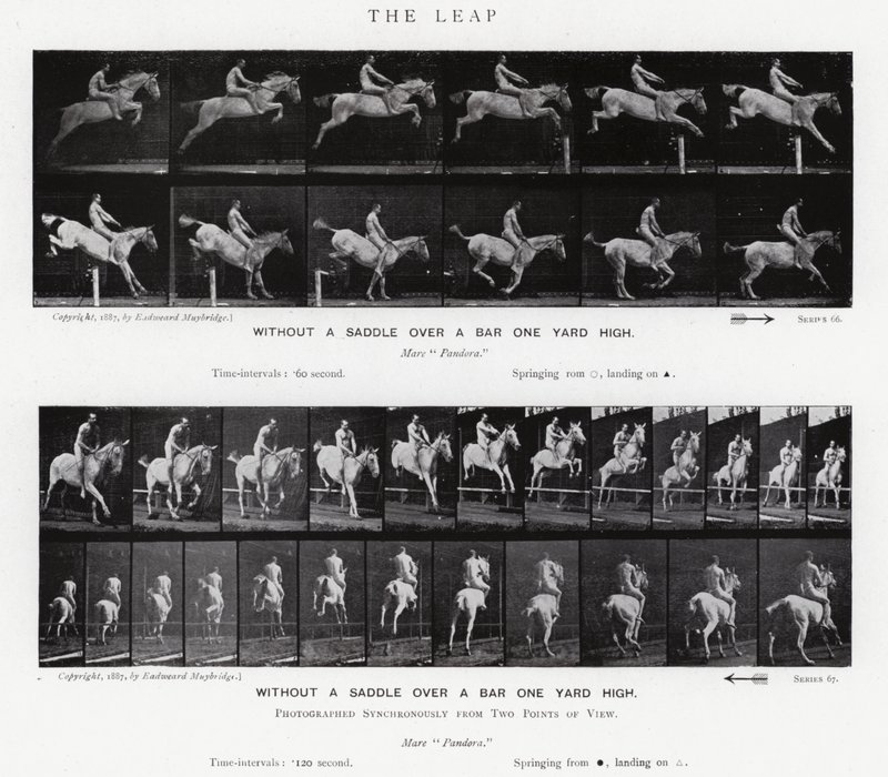 Eadweard Muybridge: Il salto da Eadweard Muybridge