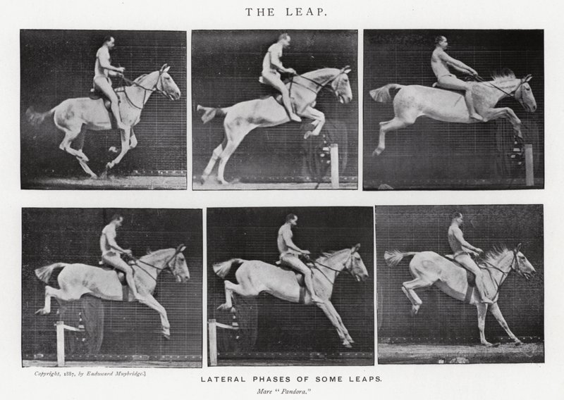 Il salto da Eadweard Muybridge