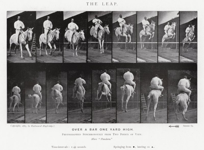 Eadweard Muybridge: Il salto da Eadweard Muybridge
