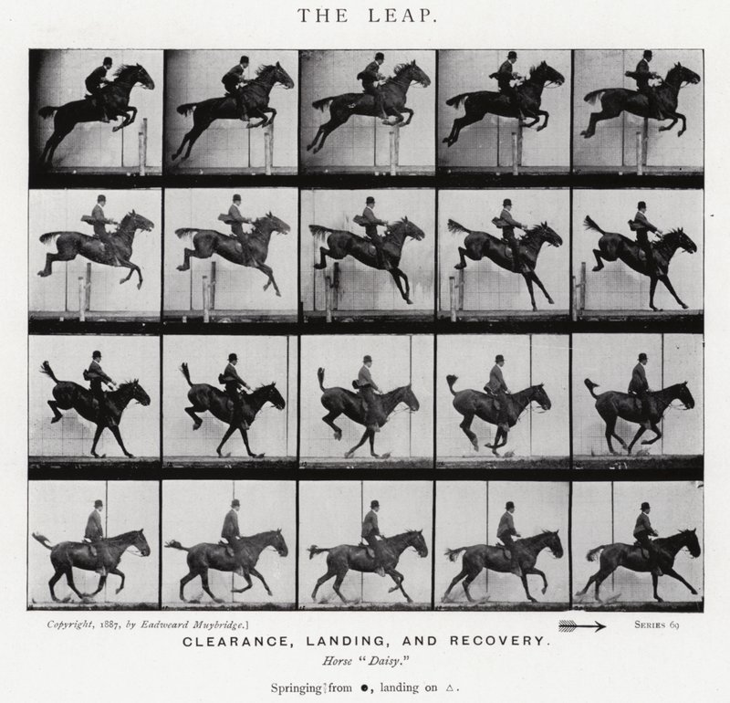 Eadweard Muybridge: Il salto da Eadweard Muybridge