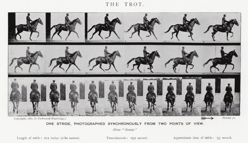 Eadweard Muybridge: Il trotto da Eadweard Muybridge