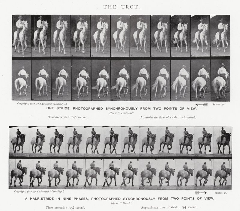 Eadweard Muybridge: Il trotto da Eadweard Muybridge