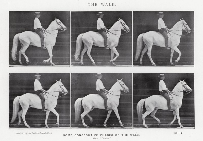 Eadweard Muybridge: La camminata da Eadweard Muybridge