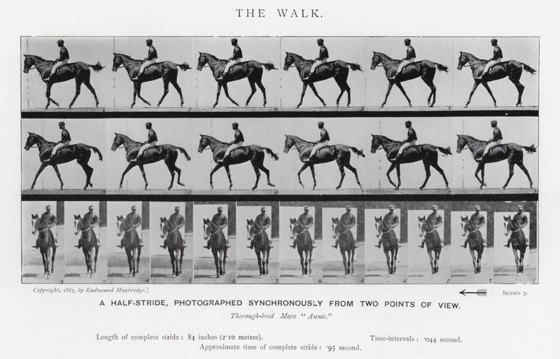 Eadweard Muybridge: La camminata da Eadweard Muybridge