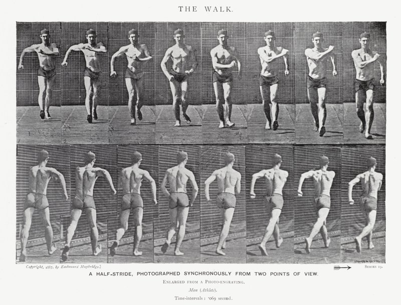 Eadweard Muybridge: La camminata (foto in b/n) da Eadweard Muybridge