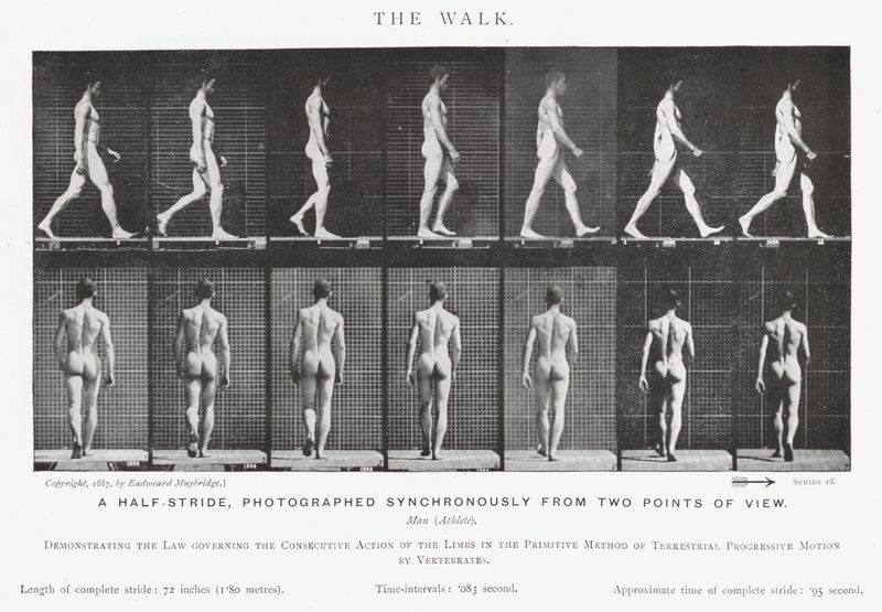 Eadweard Muybridge: La camminata (foto in bianco e nero) da Eadweard Muybridge