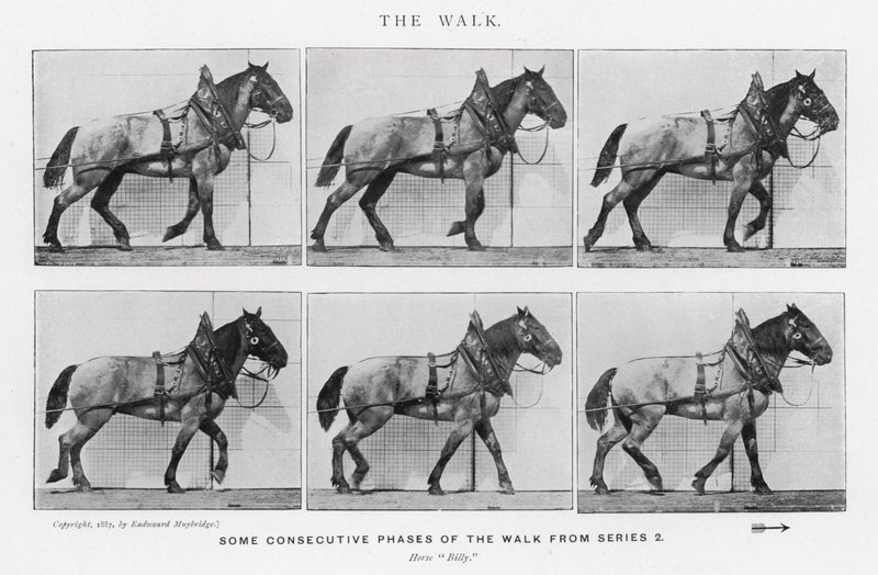 Eadweard Muybridge: La camminata da Eadweard Muybridge