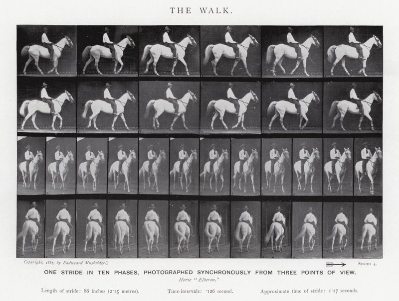 Eadweard Muybridge: La camminata da Eadweard Muybridge