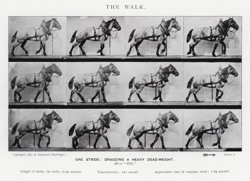 Eadweard Muybridge: La camminata da Eadweard Muybridge