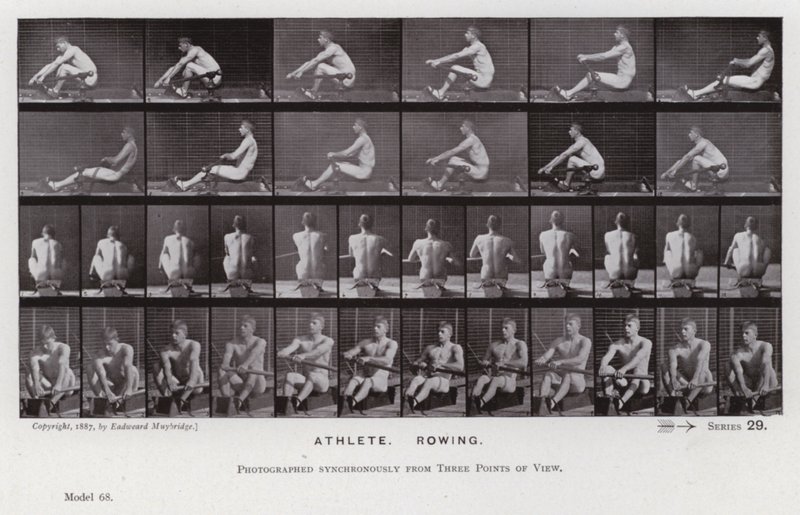 La figura umana in movimento: Atleta, remando da Eadweard Muybridge