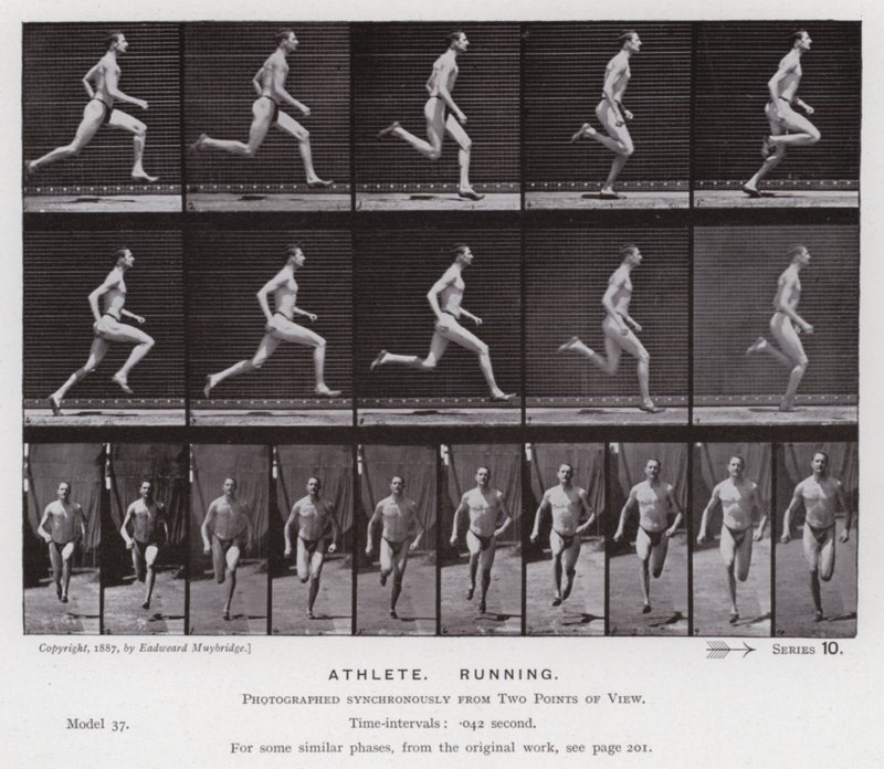 La figura umana in movimento: Atleta, corsa da Eadweard Muybridge
