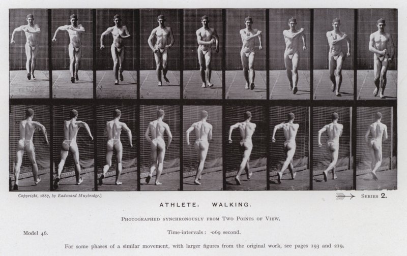 La figura umana in movimento: Atleta, camminando da Eadweard Muybridge