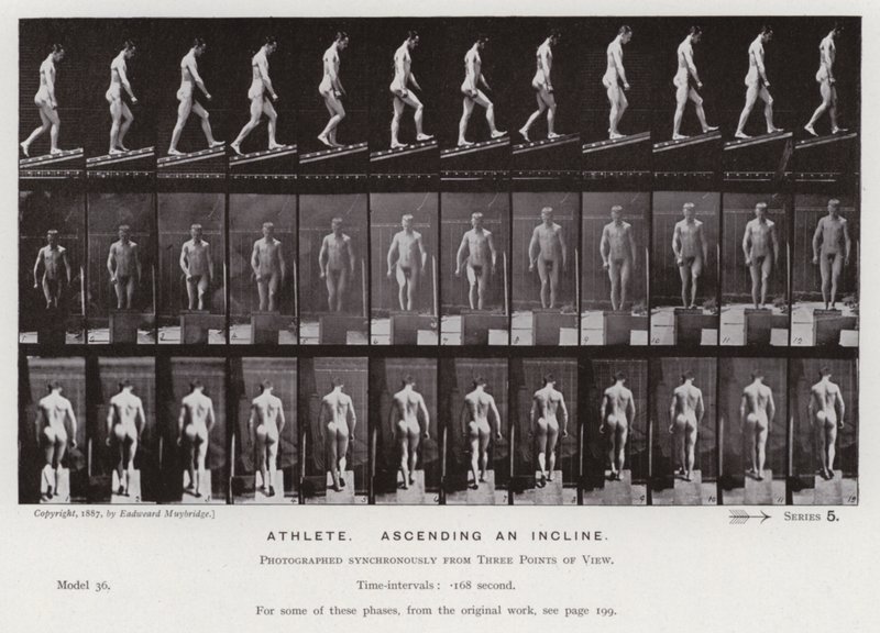 La figura umana in movimento: Atleta, salendo una pendenza da Eadweard Muybridge