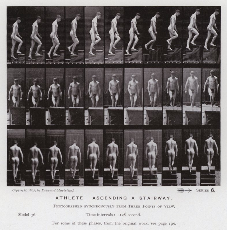 Figura umana in movimento: Atleta che sale una scala da Eadweard Muybridge