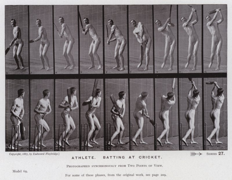 Figura umana in movimento: Atleta, battuta nel cricket da Eadweard Muybridge