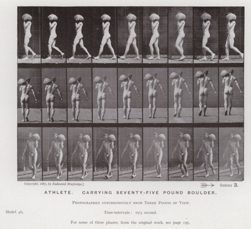 La figura umana in movimento: Atleta, che trasporta un masso di settantacinque libbre da Eadweard Muybridge