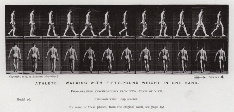 La figura umana in movimento: Atleta, camminando con un peso di cinquanta libbre in una mano da Eadweard Muybridge
