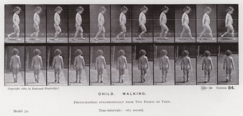La figura umana in movimento: Bambino, camminando da Eadweard Muybridge