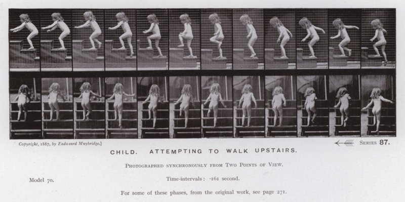 Figura umana in movimento: Bambino che tenta di salire le scale da Eadweard Muybridge